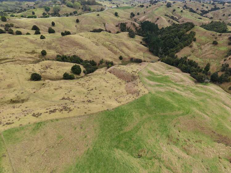 290 Hillcrest Road Waiotira_18