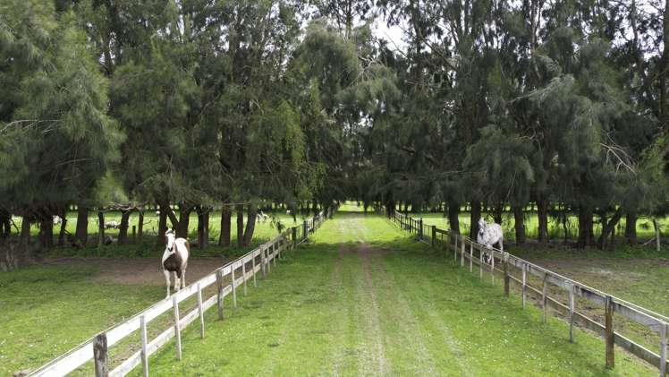 222 Bruce Road Levin_13