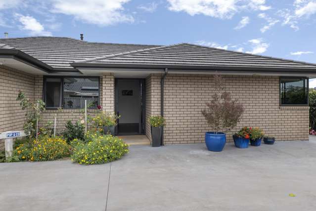 14a Tukapa Street Westown_2