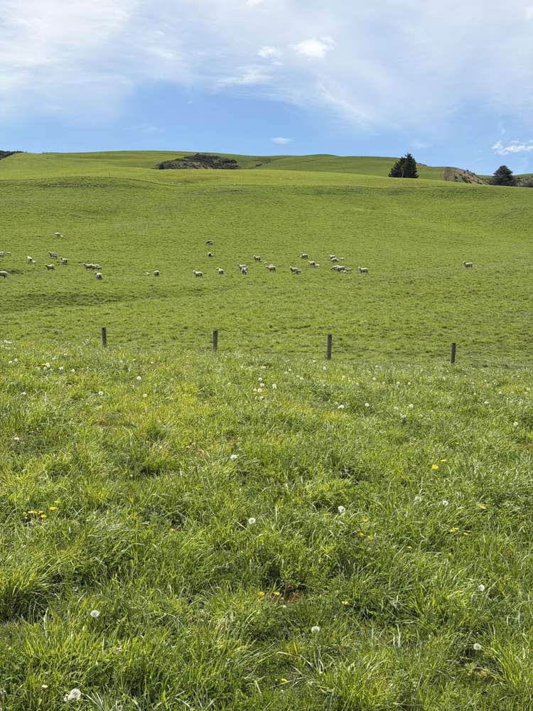 5582 Wedderburn-Becks Road Hills Creek_7