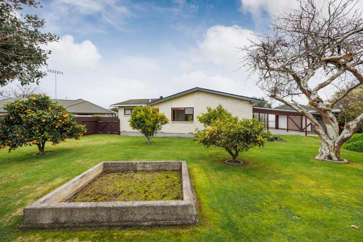 11 Moyne Avenue Milson_22