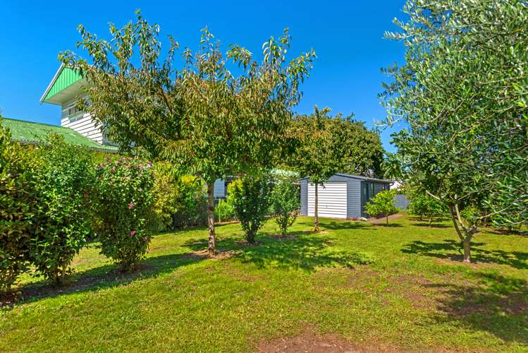 44 Albert Street Te Hapara_17