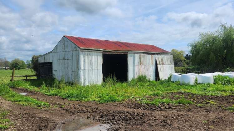 927 Tauwhare Road Pukemoremore_4