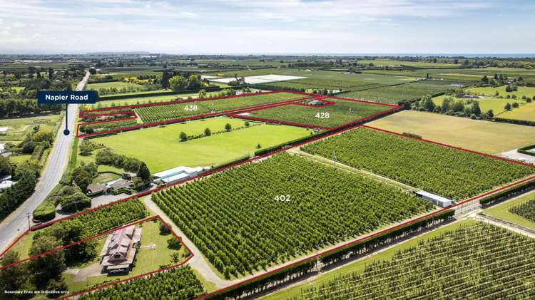 Rockit Orchard No.2 LP Hastings_1