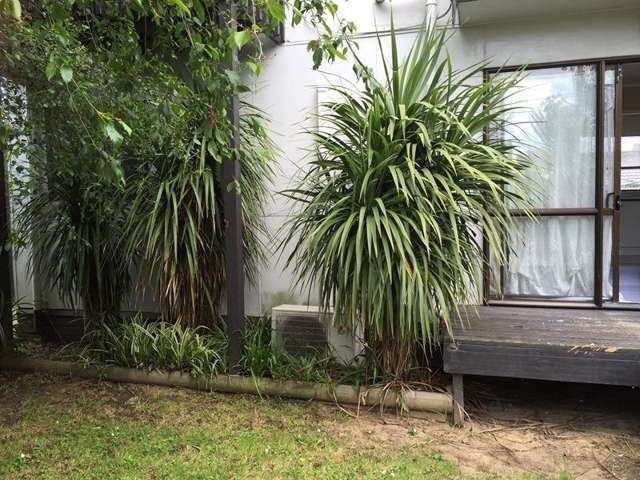 4/81 Luke Street Otahuhu_1