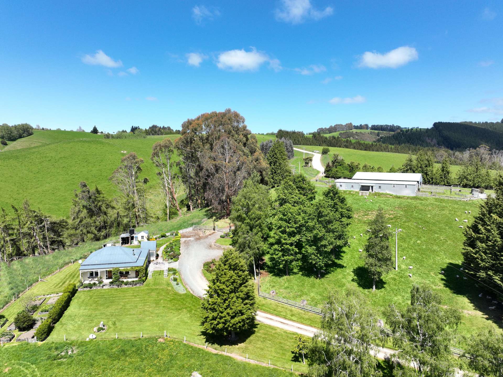 355 Hunt Road Craigellachie_0