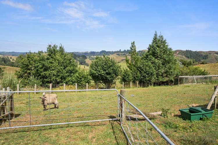 87 Haurua Road Otorohanga_22
