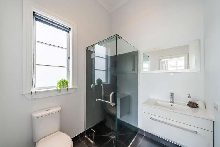 10 Manchester Street Petone_14