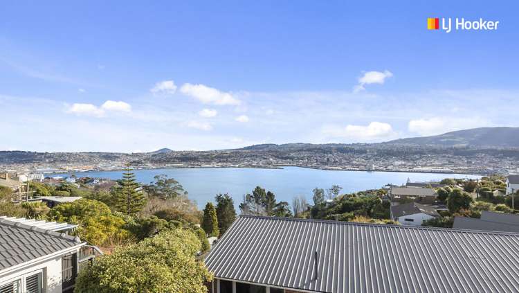 43 Shandon Road Waverley_5