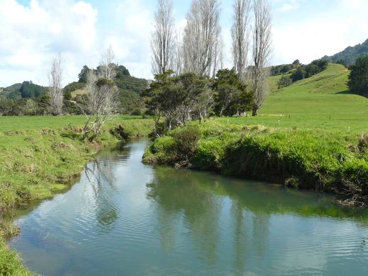 259 Diggers Valley Road Herekino_15