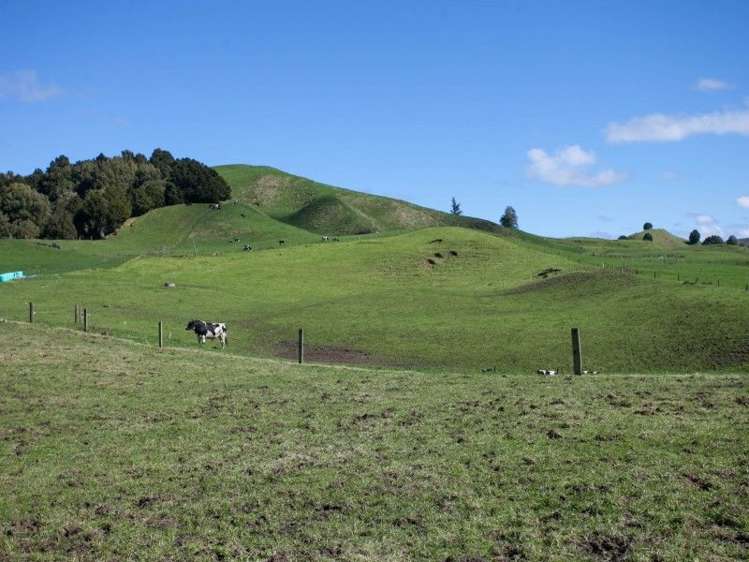 1190 Ohura Road Waimiha-Ongarue_3