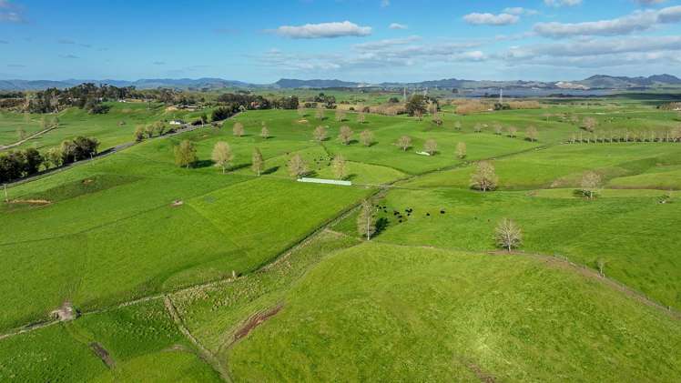 819 Waikokowai Road Ruawaro_28