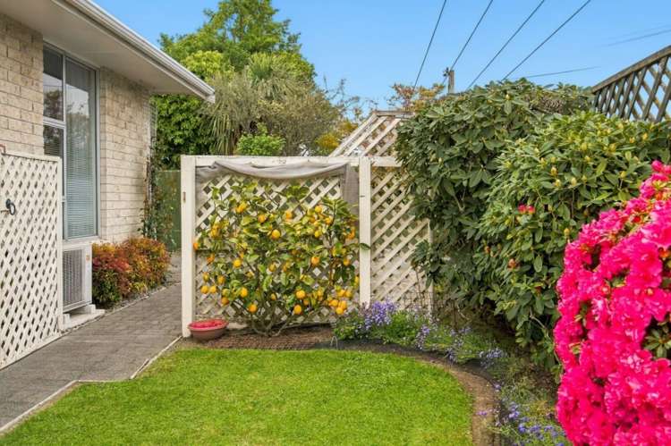 1/21 Cheviot Street Spreydon_18