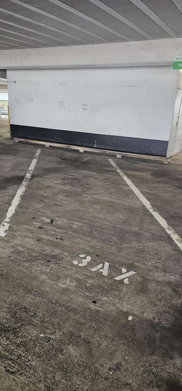 3AX/23-31 Hobson Street Auckland Central_1