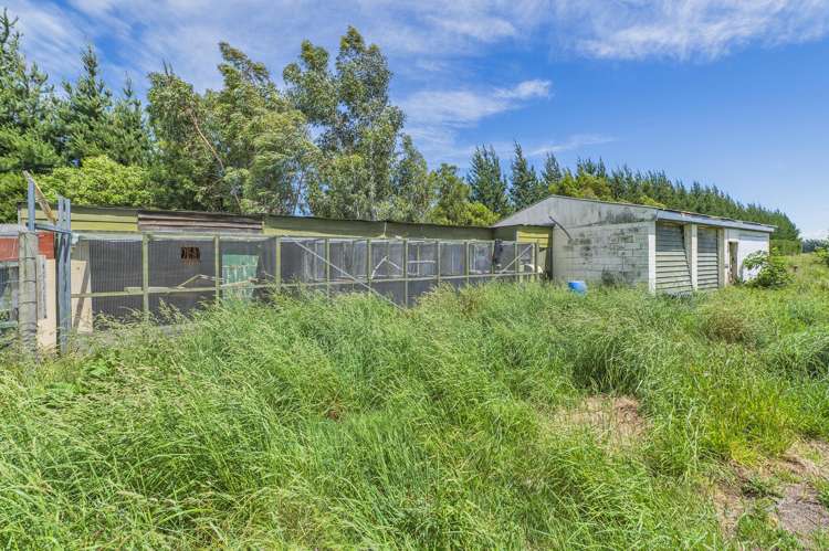 183 Smythes Road Leeston_29