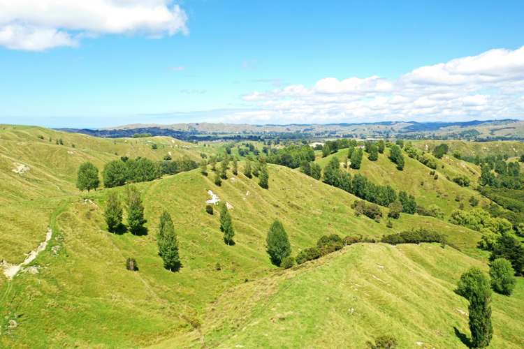 174 Clydebank Road Wairoa_12