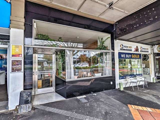 177 Symonds Street Eden Terrace_1