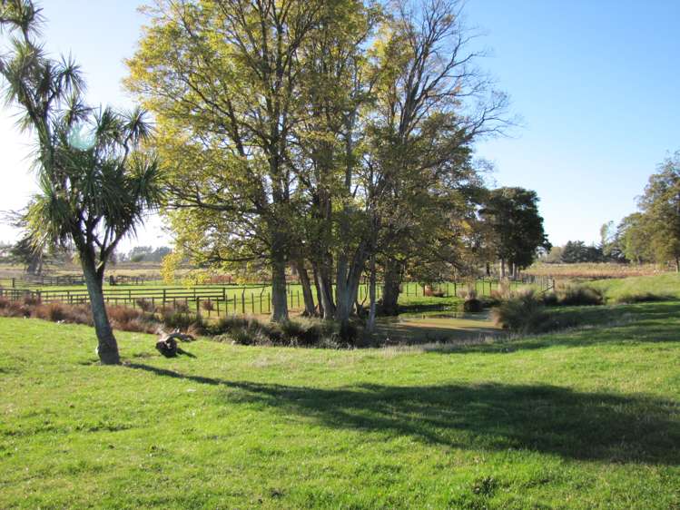 171 Awahuri Feilding Road Feilding_13