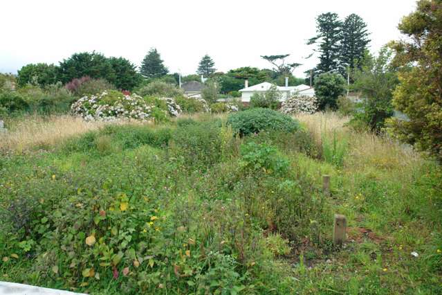 6 Elizabeth Street Patea_2