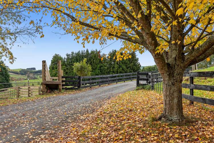 178 Whitehall Road Karapiro_28