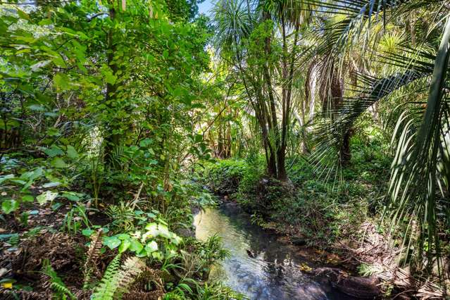 41B Athlone Road Glendowie_2