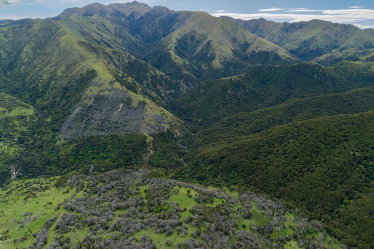 1505 Peggioh Road Ward_22