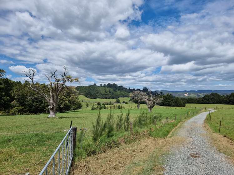 2860 State Highway 1 Brynderwyn_16