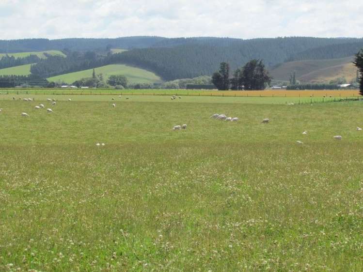 734 Crichton Road Milton_11