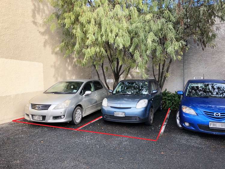 G/27-29 Albany Street North Dunedin_10