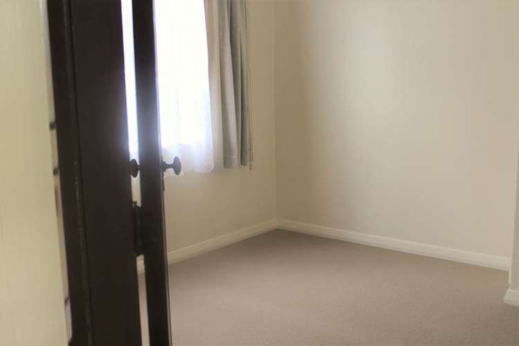 29 Cadman Avenue Greenlane_3