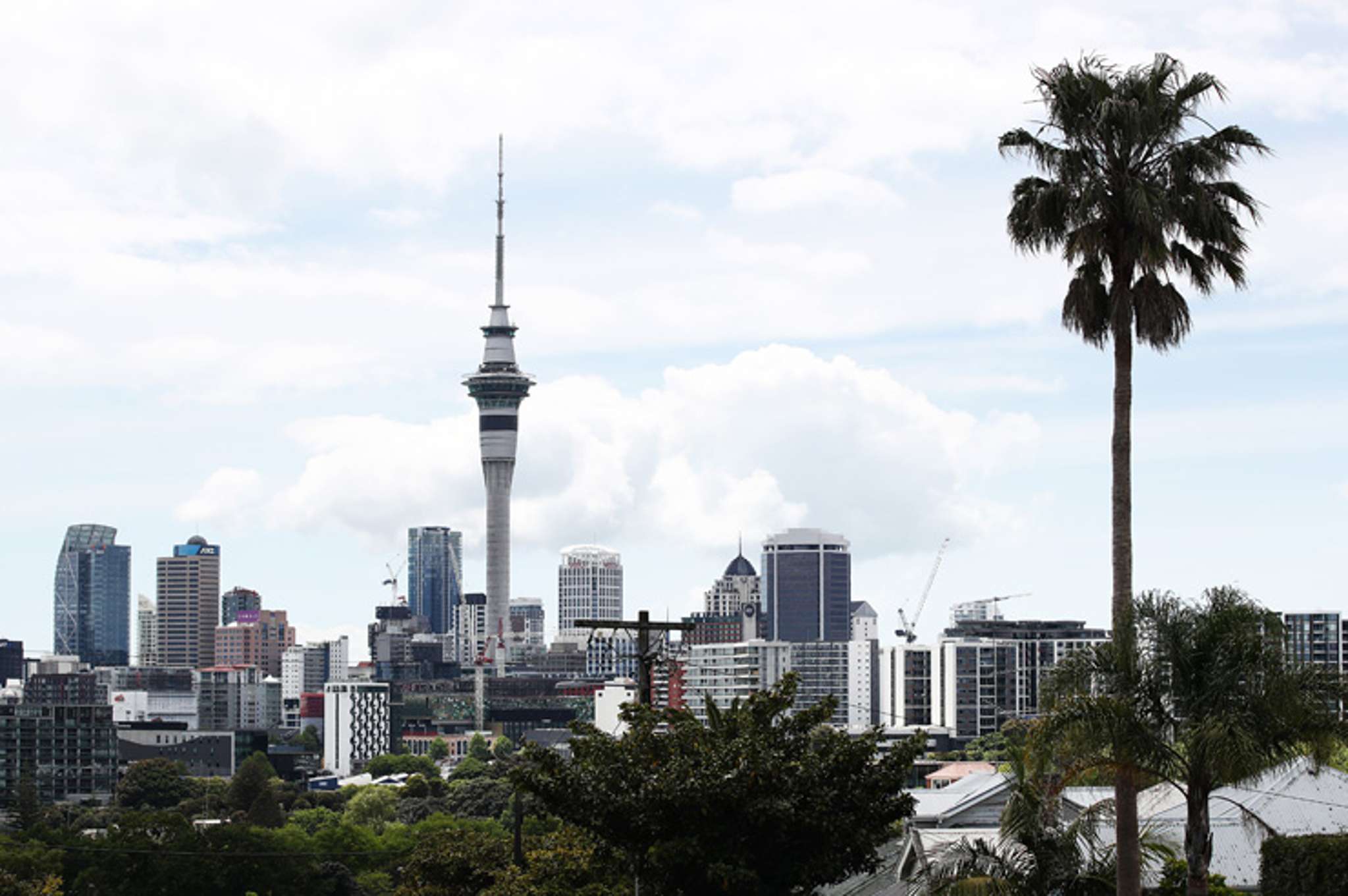 The Auckland suburbs where every house sells for $1m-plus