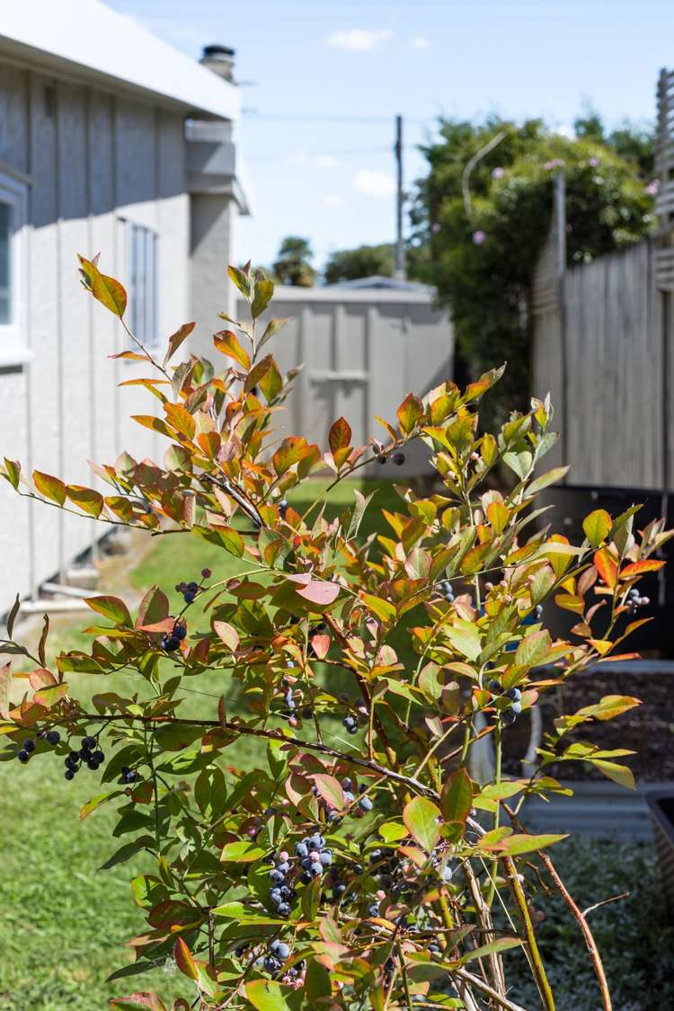 13 Arnold Street Leamington_25