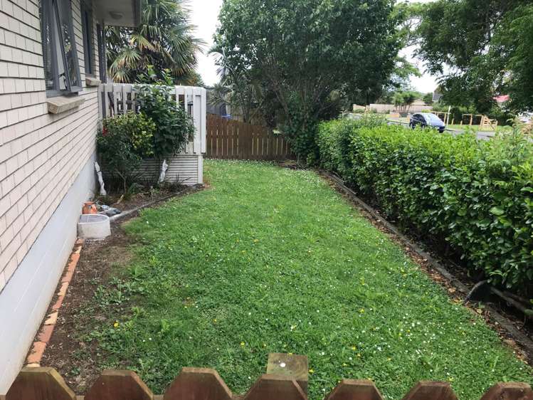 Queen Street Pukekohe_10