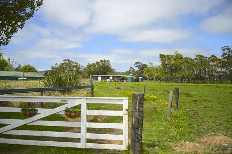 37 Te Pua School Road Helensville_21