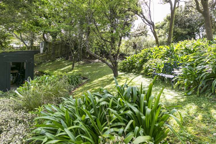 11 Ardross Avenue Khandallah_6