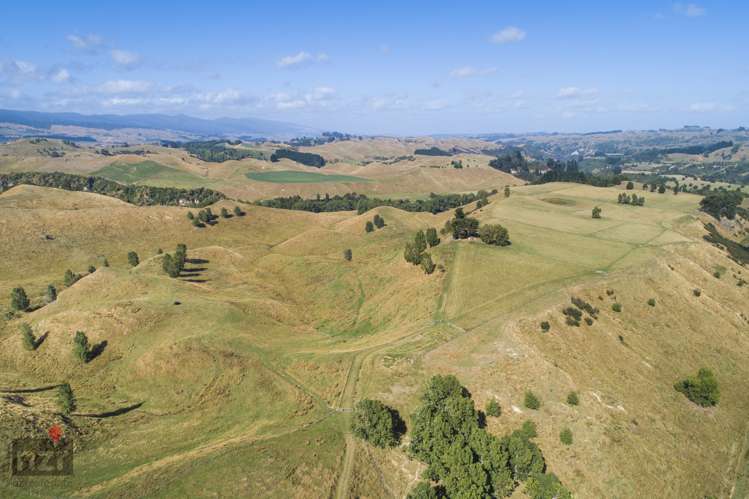 3769 Pohangina Valley East Road Apiti_14