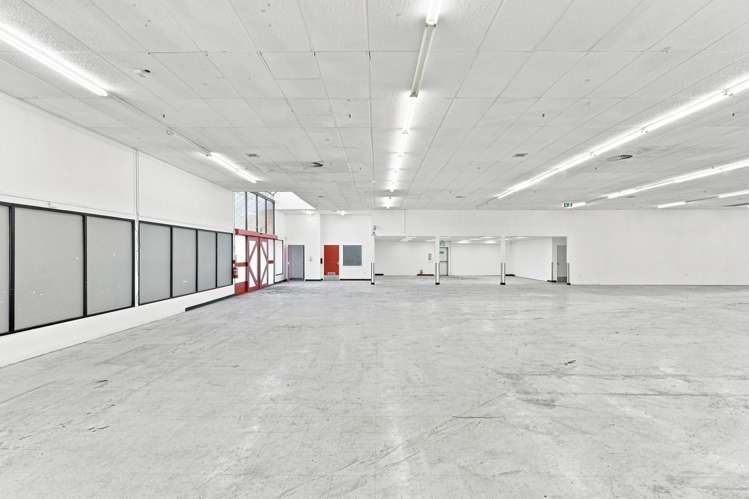 161 Gordon Road Dunedin Central_6