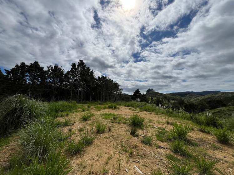 Lot 23 Waiotehue Road Herekino_9