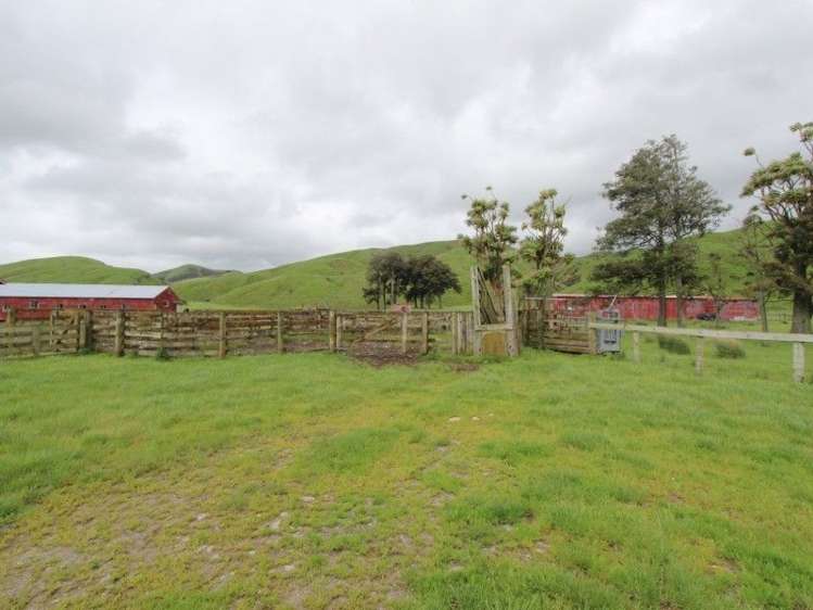 67 Piert Road Kumeroa_10