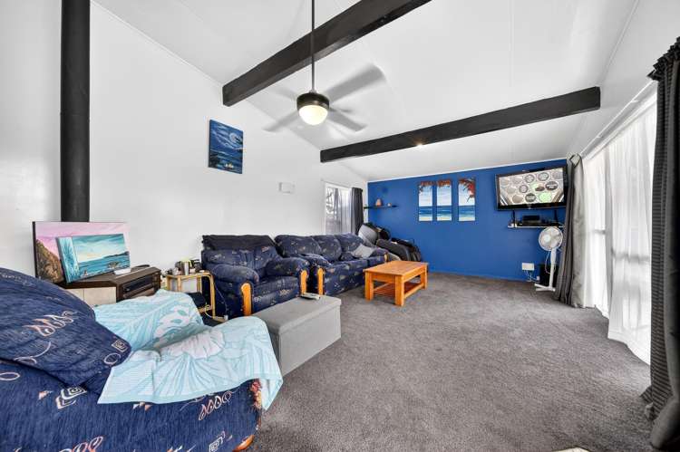 33 Waterhouse Street Masterton_7