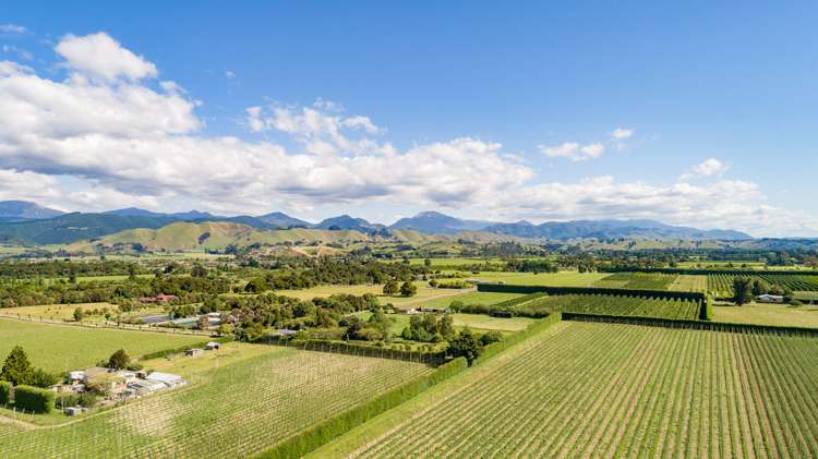 46 Livingston Road Brightwater_24