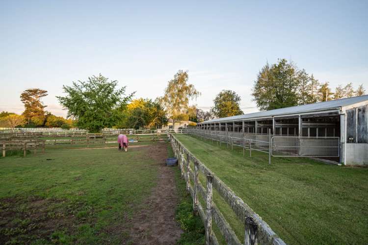 91 Forrest Road Cambridge_7