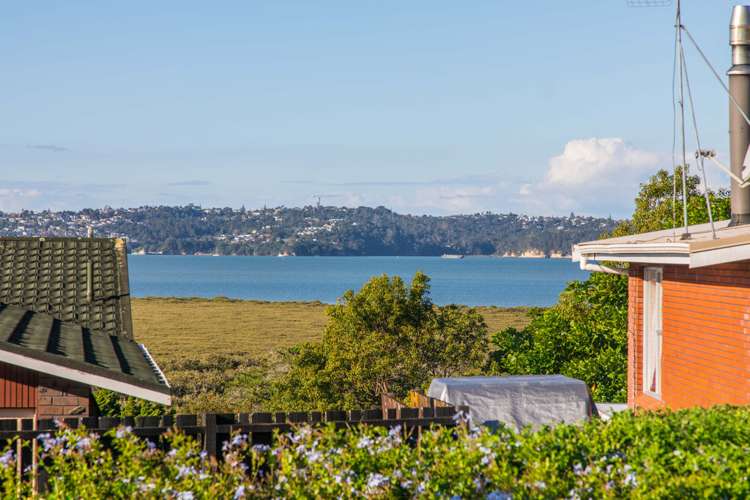 45 Rewarewa Road Te Atatu Peninsula_0