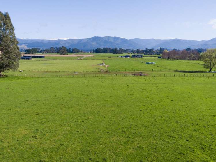 289 Dalefield Road Carterton_13