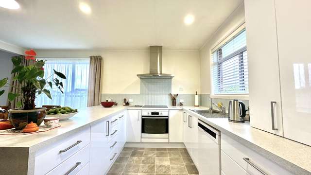 56 Harland Street Tinwald_3