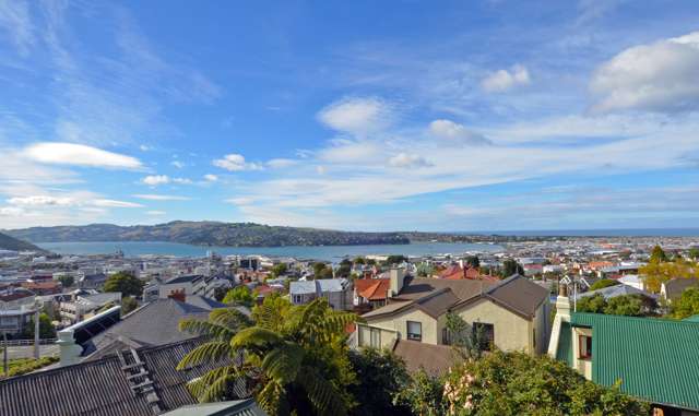 379 Rattray Street Dunedin Central_3