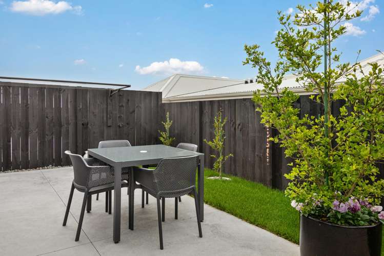 26 Harp Street Morrinsville_3