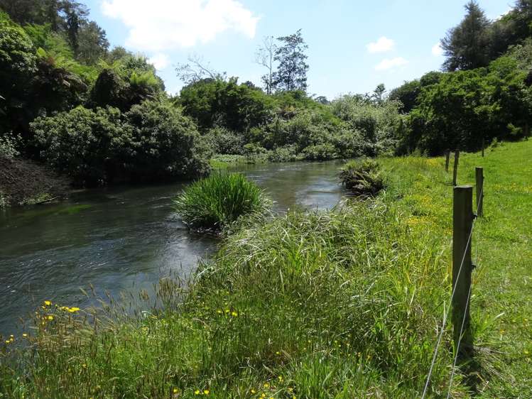 357 State Highway 5 Tapapa_12