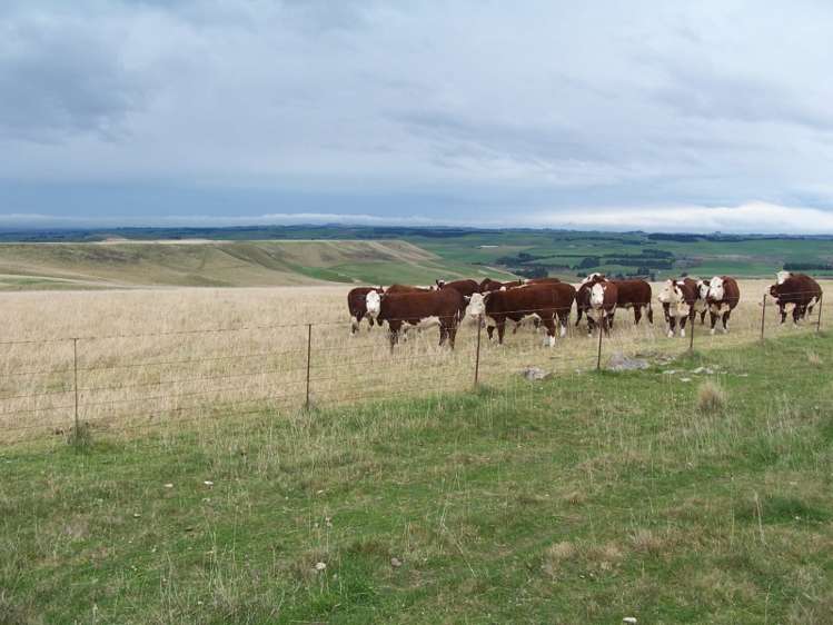 422 Earthquake Road Duntroon_0