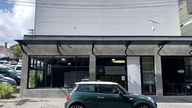 12 Fitzroy Street Ponsonby_4